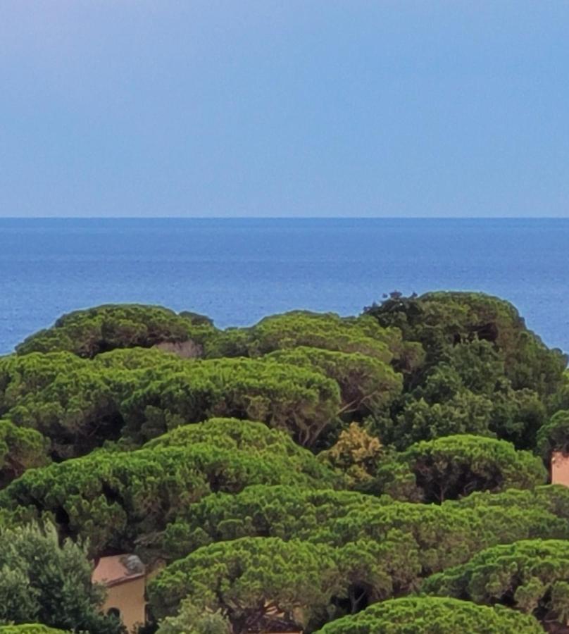 Villa Palm' Issambres 6-7 Personnes, Clim, Avec Piscine, Jardin Et Parking Prives La Garonnette-Plage Exterior foto