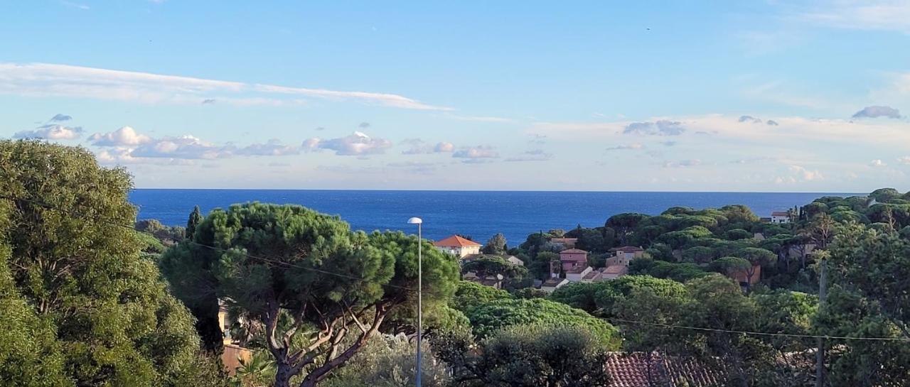 Villa Palm' Issambres 6-7 Personnes, Clim, Avec Piscine, Jardin Et Parking Prives La Garonnette-Plage Exterior foto